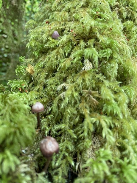 NoOne high quality model gallery