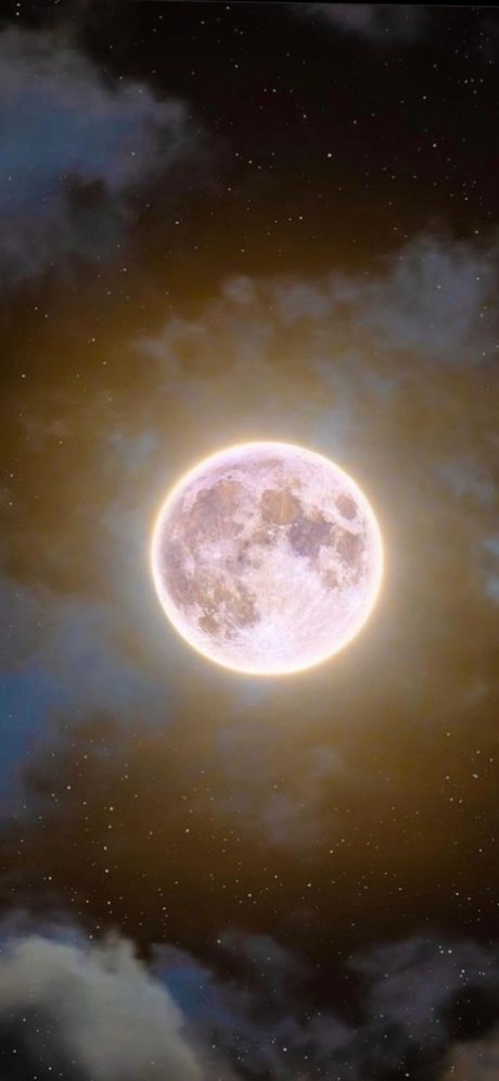 nastyia top model picture