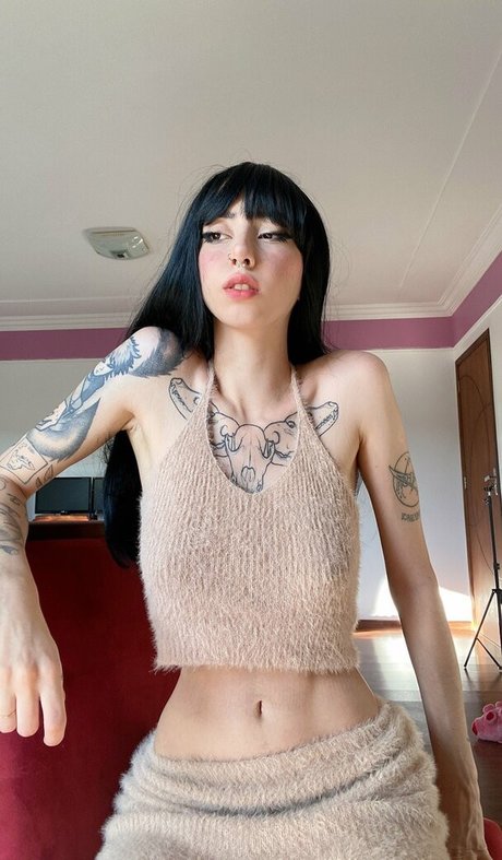 Trizpc star free gallery