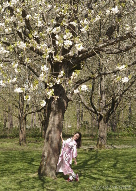 ayakofuji erotic pornstar picture