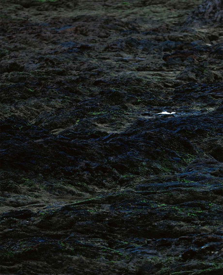 natural tits onlyfans free nude img