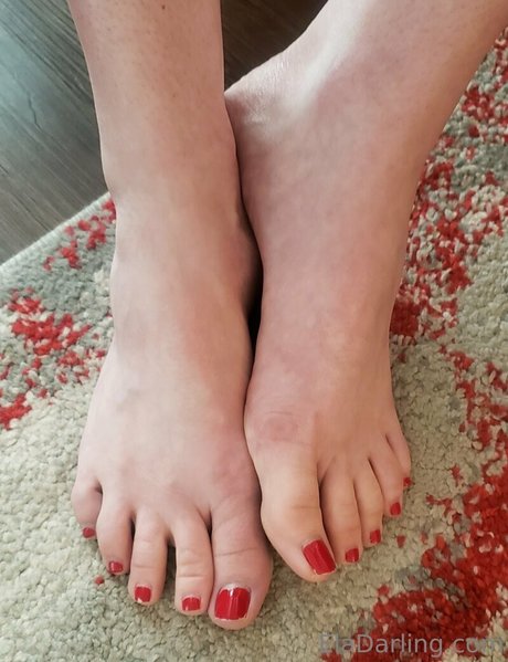 eladarling top model archive