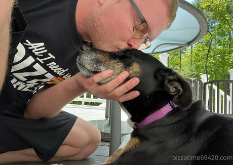 gutfuzz model nice img