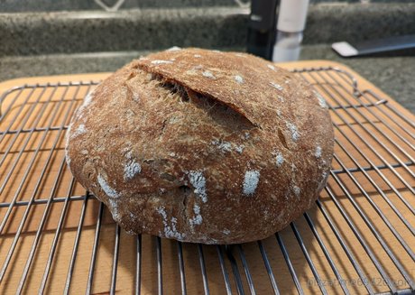 gutfuzz pornstar sex archive