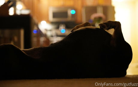 gutfuzz pornstar high quality image