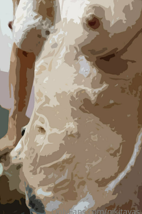 nikitavas xxx pornstar photo