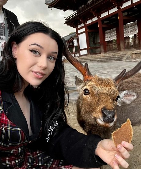 LivBev pornstar nudes pics