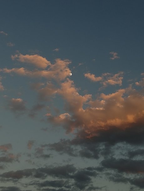 Petite Carnade model best pics