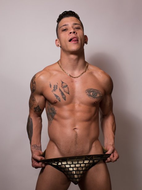 Paul P_ art pornstar galleries