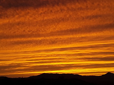 Onlycameltoes pornstar nudes pics