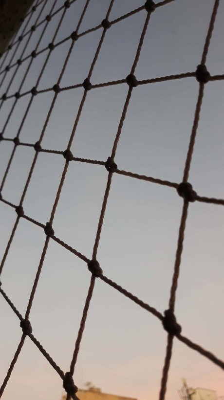 onerom star erotic image