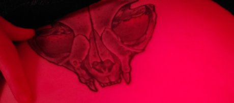 PlagueDaddy top star image