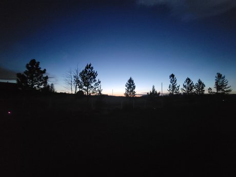 Pinks Place adult star img