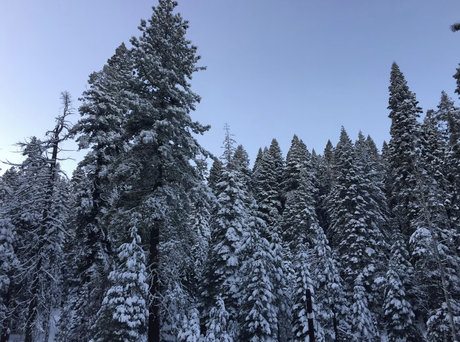 PigbottomIbanez hot actress img