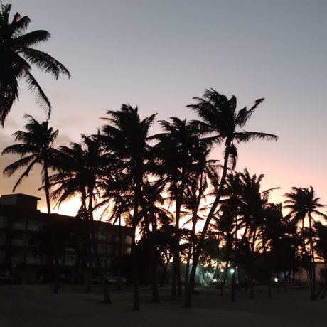 PIELCANELAFeet erotic pornstar gallery