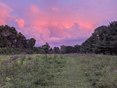 Domme Philippi profile pic