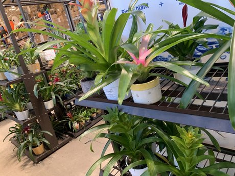 Bill Bigsby perfect actress galleries