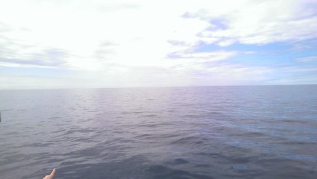 Petr Vert beautiful actress gallery