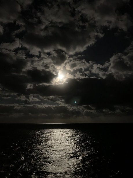 Radam84 hot pornstar photos