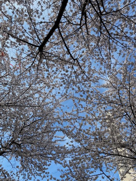 jax amp amp kay nice model pics