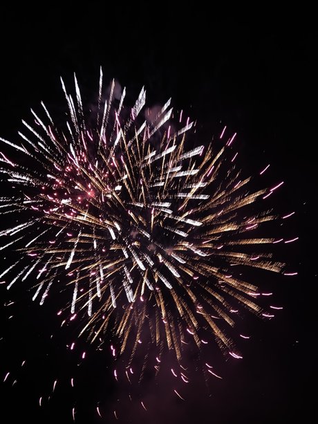 gerbil star xxx photos