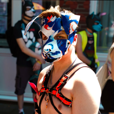 Quentin the pup hd pornstar photos