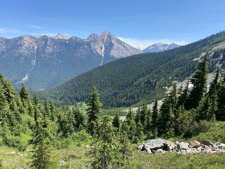 rhino___ porn star archive