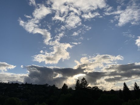 Reasonableish nude pornstar img