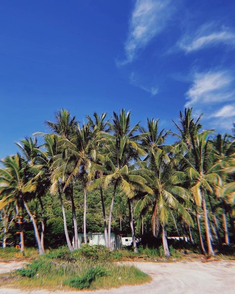 Tila Maria xxx model galleries