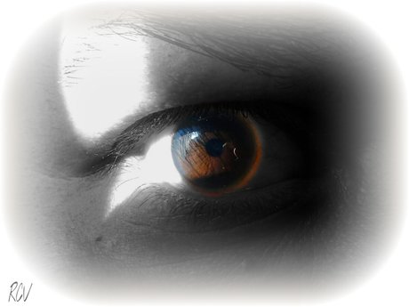 R C V s Art Page model free gallery