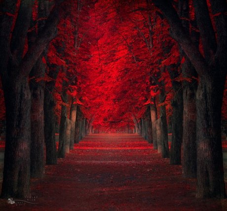 Random Aussie model hot pic