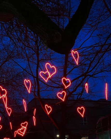 MarMar sex star archive