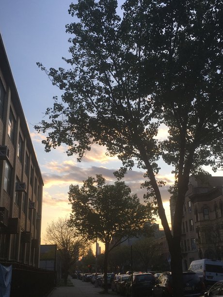 mags erotic model archive