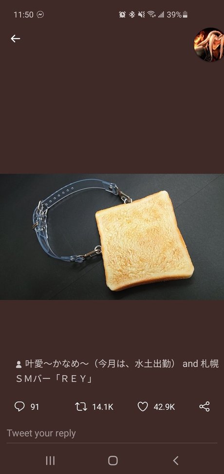 GrizzlyMan art star images