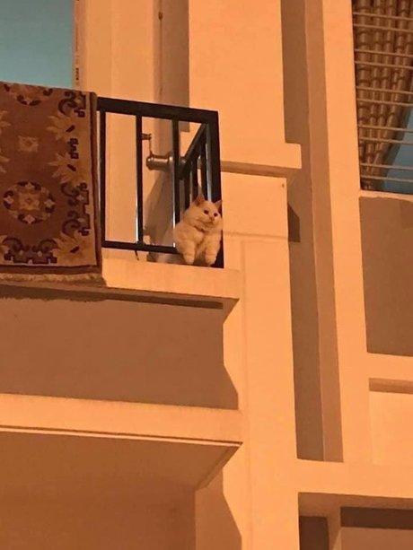 Misaki model nude pic