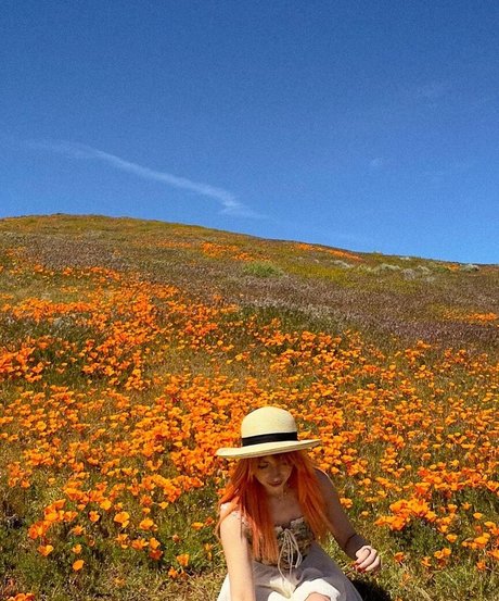 shelbygraces high quality actress archive