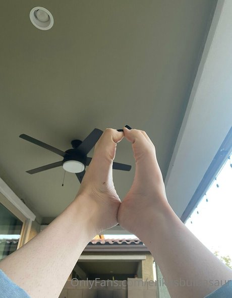 Erikasbulbasaur model high quality pics