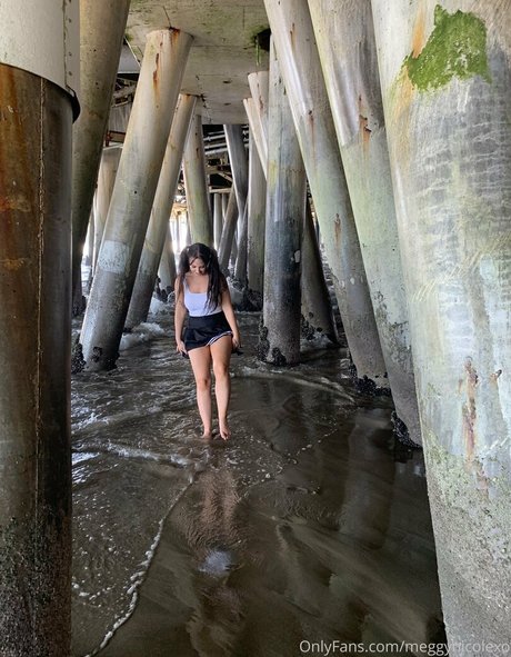 Megan Nicole top pornstar photos