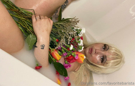 favoritebarista art star galleries