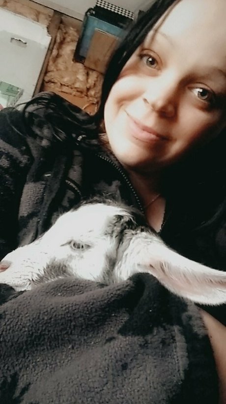 delightfulxsin hd star archive