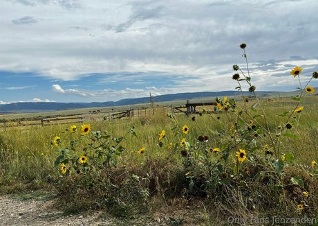 zendenjen69 best pornstar img