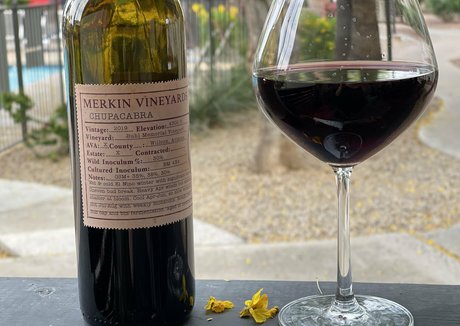 zendenjen69 sexy star archive