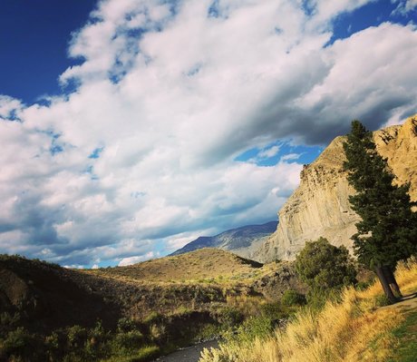 zendenjen69 high quality pornstar picture