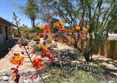 zendenjen69 pornographic actress pictures