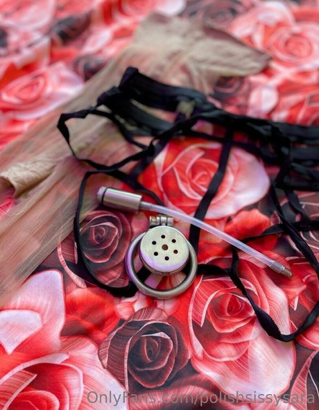 polishsissysara star hd pics