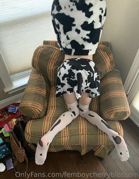 femboycherryblossom star nice images