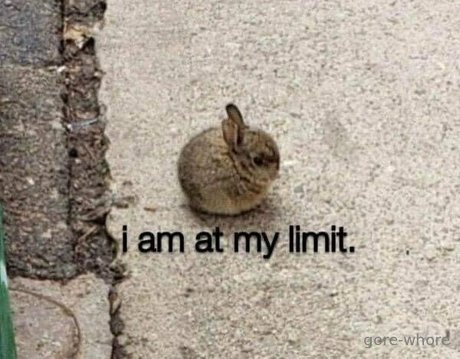 gore whore nude pornstar pics