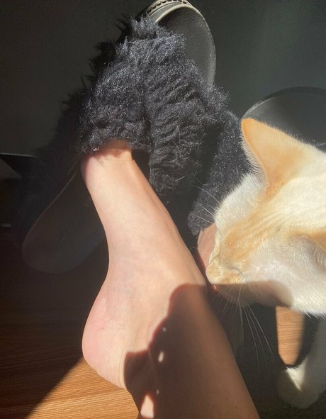 sofialutfree pornstar high quality photos