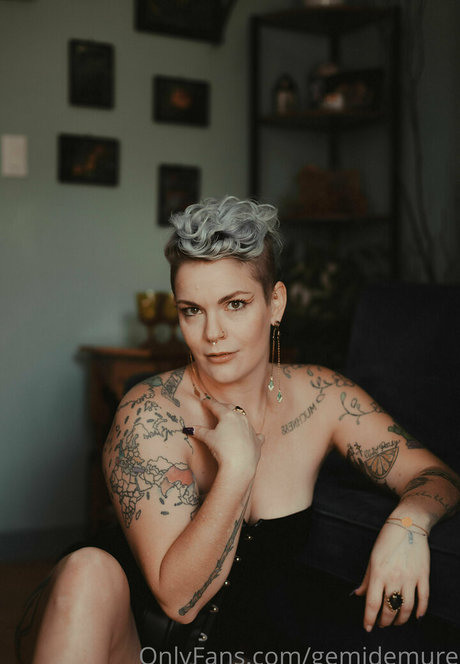 gemidemure model free img