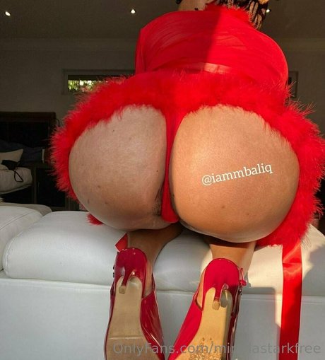 mirellastarkfree star adult galleries